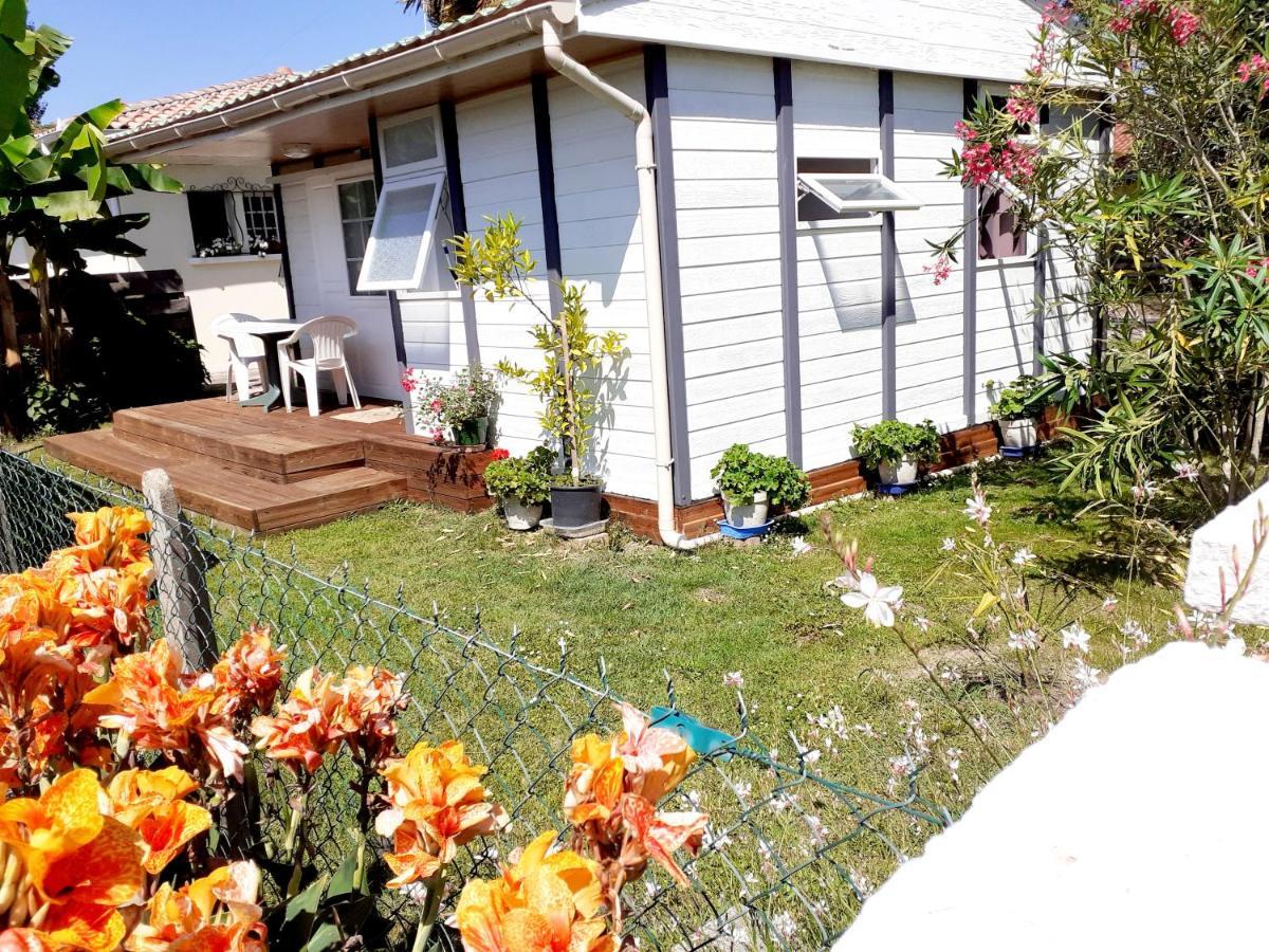 Chalet Narrosse Exterior foto
